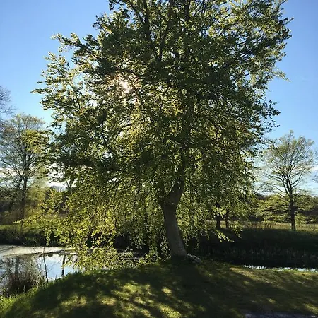 Lerbaek Hovedgaard Apartahotel 3*