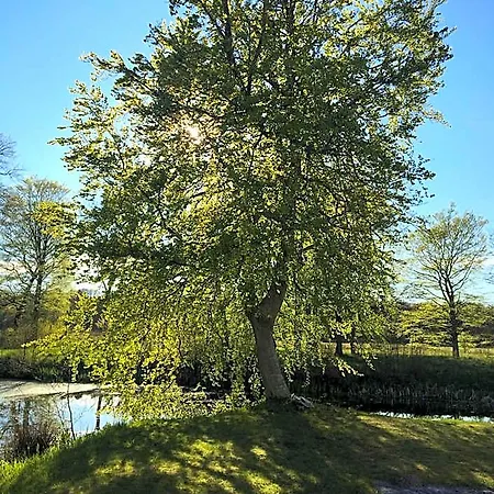 Lerbaek Hovedgaard Apartahotel