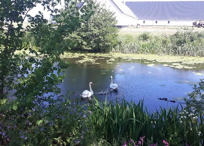 Lerbaek Hovedgaard 3* Frederikshavn