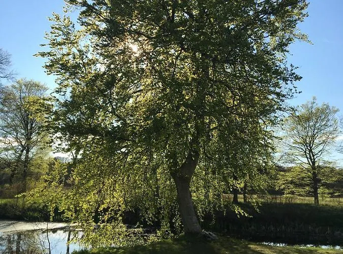 Lerbaek Hovedgaard Aparthotel 3*